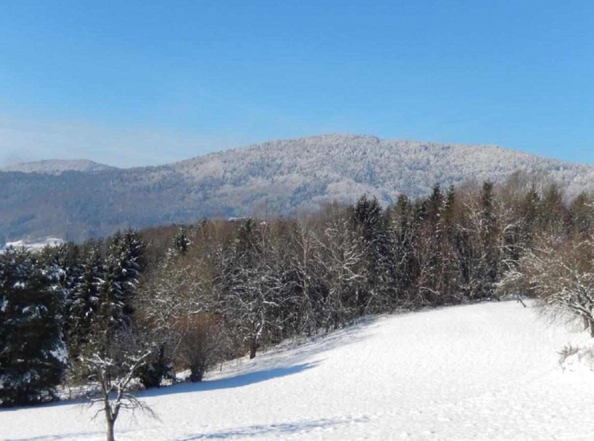 Ferienwohnung Hirtreiter Lalling Εξωτερικό φωτογραφία